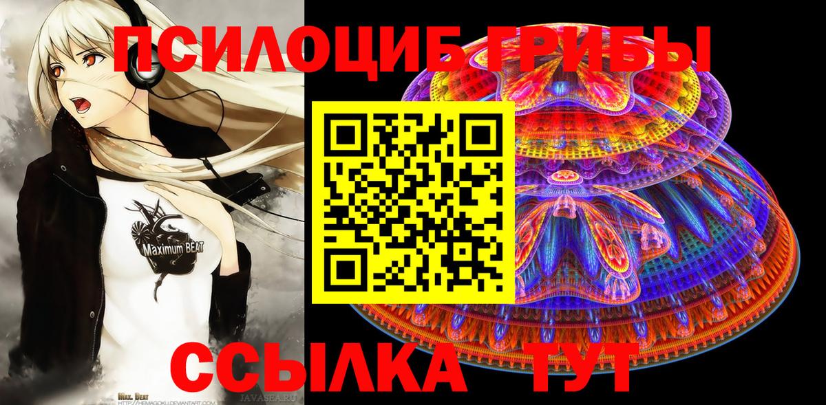 Псилоцибиновые грибы мухоморы  Псилоцибиновые грибы мухоморы  Нарткала  Вход с VPN 